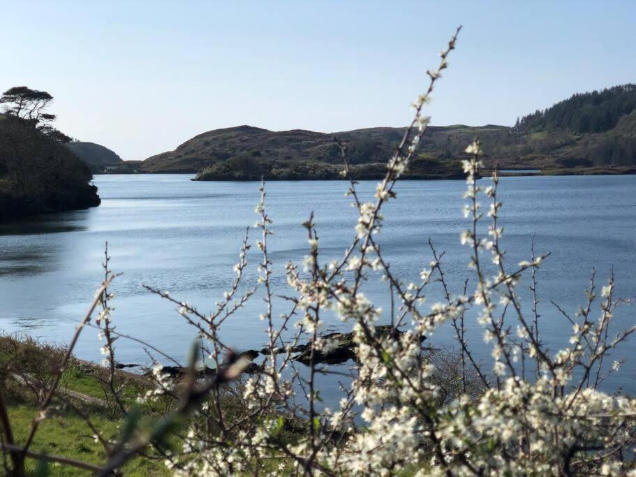 Lough Hyne Cottage Skibbereen Eksteriør billede